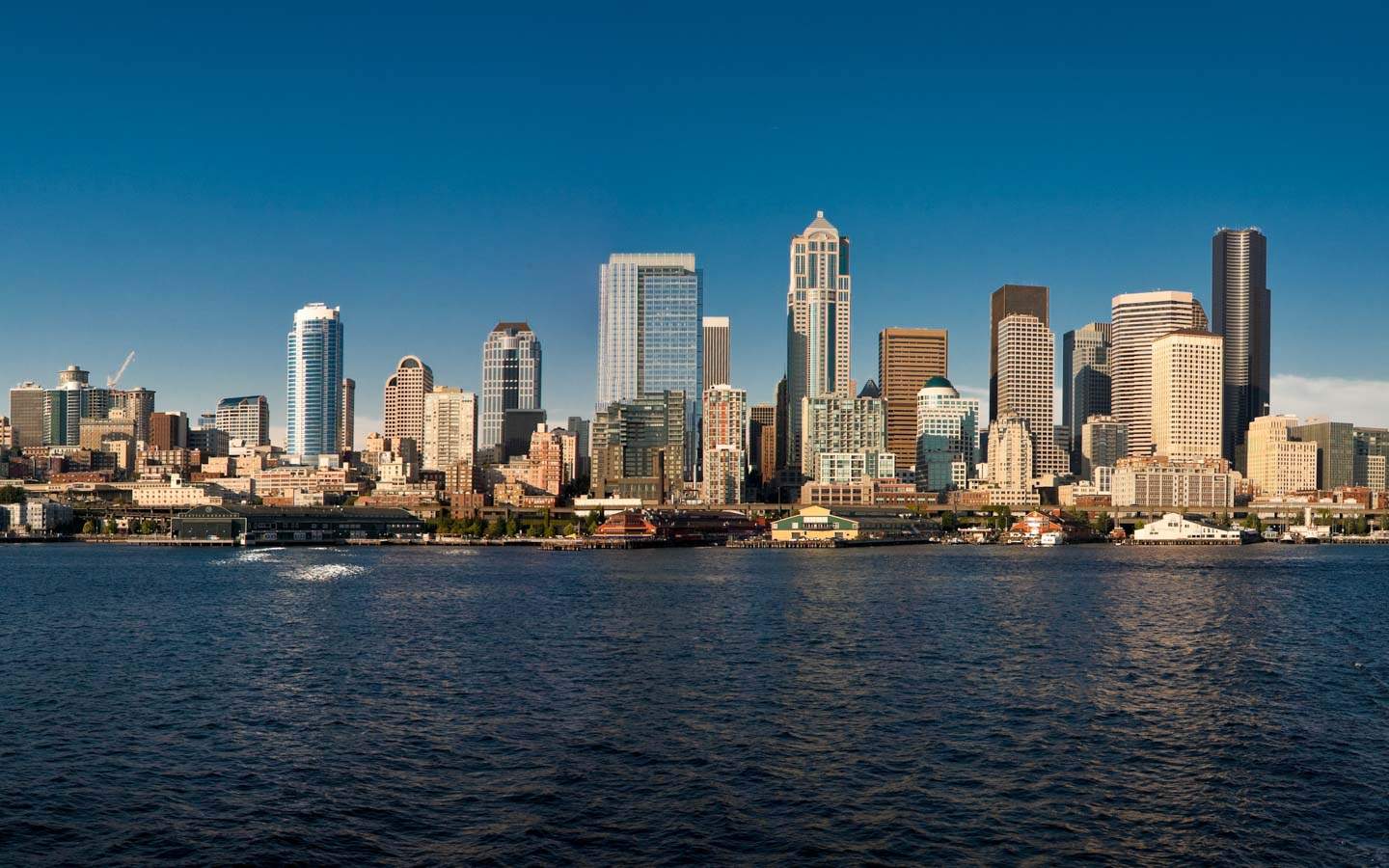 Search "" in Seattle, WA | CityOf.com